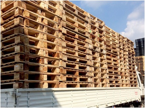 รับซื้อพาเลทพลาสติกมือ 2 สมุทรปราการ